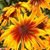 Sabrina Hetzler's profile image