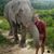 Allie Gonyea's profile image