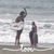 Cindy Fullerton's profile image