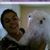 Cecilia Eva Diaz Montenegro's profile image