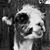 Joe Maher's profile image