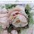 Carol Kucay Barnes's profile image