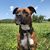 Stacey Steig's profile image