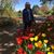 LuAnna Peck's profile image