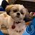 Carol French Yoder's profile image