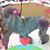 Nancy Ann Wetherington's profile image