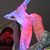 Patrick Gagliardo's profile image