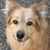 Donna Fletcher's profile image