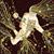 Shayna Shugars's profile image