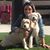 Naela K. Durrani's profile image