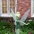 Anne T Copps's profile image