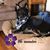 Sheryl Gregston Noey's profile image