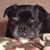 Regina Coffield's profile image