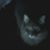 Patricia Hilderbrand's profile image