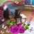 Lavinia Markel's profile image