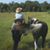 Brenda Drawdy Cross's profile image