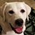 Cindy Gillmore's profile image