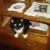 Diane M. Hanson's profile image