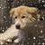 DeAnna Davis Okun's profile image