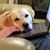 Sally Miller's profile image