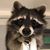 Marion Norwood's profile image