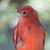 Marla Cagle-Keady's profile image