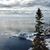Dawn M Van Camp's profile image