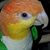 Marty Power's profile image