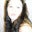 Jenni Shelton's profile image
