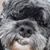 Bert Skippy McLain's profile image