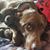 Judy Miller Redmon's profile image