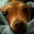Don Cooper's profile image