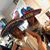Teri Wadsworth's profile image