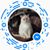 Cathy Devino's profile image