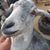 Christopher Quintana's profile image