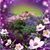 Marcia LaMagdeleine Patience's profile image