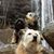 Ceil Terry Thompson's profile image