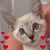 Gina Triay's profile image