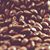 Carrie Bailey Knepper's profile image