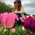 Angelika Demers's profile image