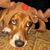 Danee Marquand Hayungs's profile image