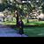 Usha Reddy's profile image