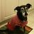 Katey Garas Kahanu's profile image