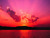 Mandi B.'s profile image
