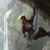 Kristine Rodgers's profile image