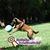Bobbie Cagle's profile image