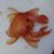 Antonio Estrella Gonzalez's profile image