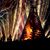 Susan Pizzuto Pennell's profile image