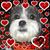 Sharon L Reischl's profile image