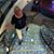 Judy Davidson's profile image